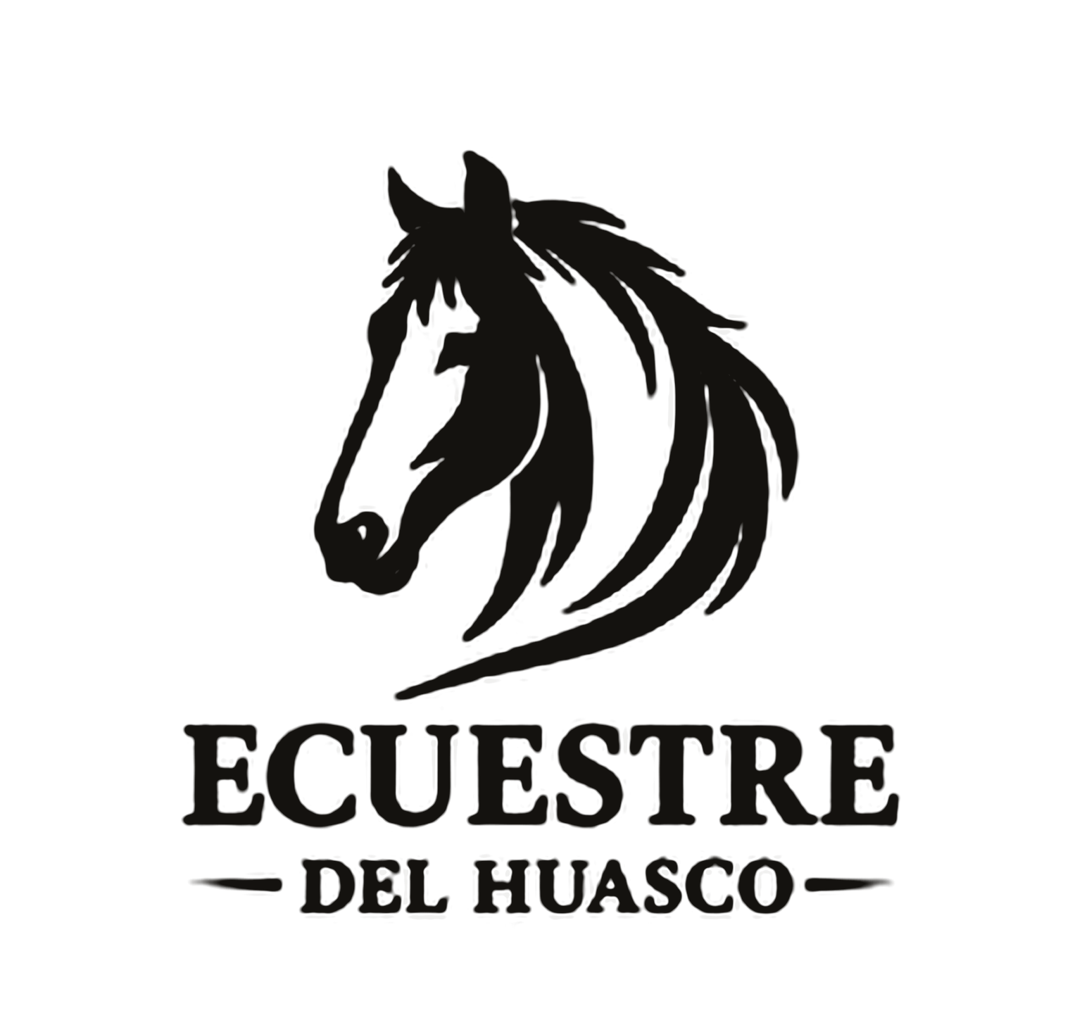 Ecuestre del Huasco